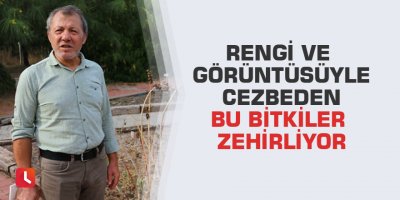 Rengi ve görüntüsüyle cezbeden bu bitkiler zehirliyor