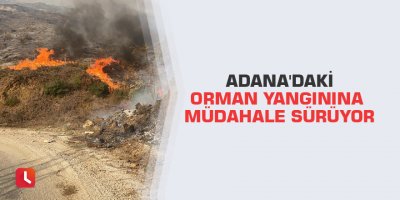 Adana'daki orman yangınına müdahale sürüyor