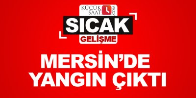 Mersin’de yangın çıktı