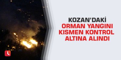 Kozan’daki orman yangını kısmen kontrol altına alındı