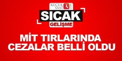 MİT tırlarında cezalar belli oldu
