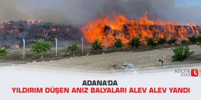Adana'da yıldırım düşen anız balyaları alev alev yandı