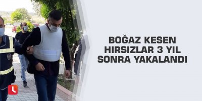 Boğaz kesen hırsızlar 3 yıl sonra yakalandı