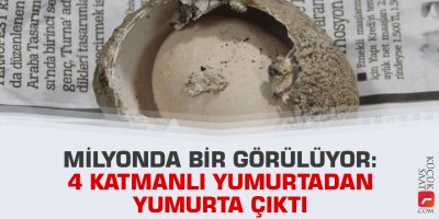 Milyonda bir görülüyor: 4 katmanlı yumurtadan yumurta çıktı