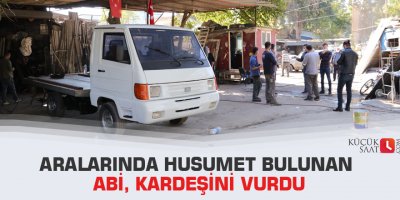 Aralarında husumet bulunan abi, kardeşini vurdu
