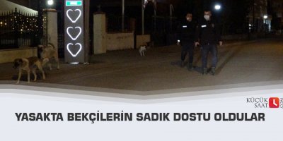 Yasakta bekçilerin sadık dostu oldular