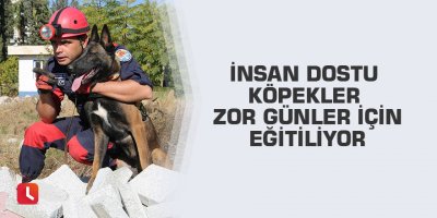 İnsan dostu köpekler zor günler için eğitiliyor