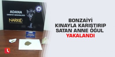 Bonzaiyi kınayla karıştırıp satan anne oğul yakalandı