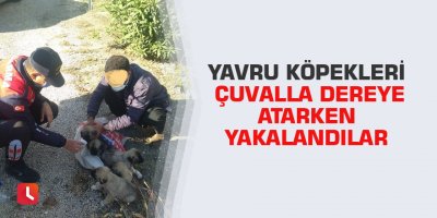 Yavru köpekleri çuvalla dereye atarken yakalandılar