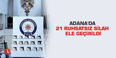 Adana'da 21 ruhsatsız silah ele geçirildi