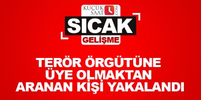 Terör örgütüne üye olmaktan aranan kişi yakalandı