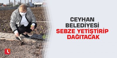 Ceyhan Belediyesi sebze yetiştirip dağıtacak