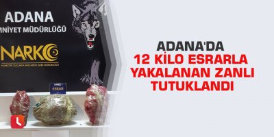 Adana'da 12 kilo esrarla yakalanan zanlı tutuklandı
