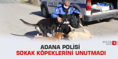 Adana polisi sokak köpeklerini unutmadı
