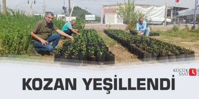 Kozan yeşillendi
