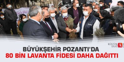 Büyükşehir Pozantı’da 80 bin lavanta fidesi daha dağıttı
