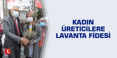 Kadın üreticilere lavanta fidesi