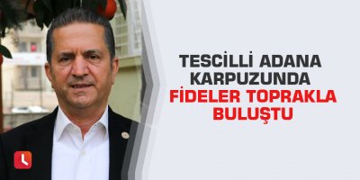 Tescilli Adana karpuzunda fideler toprakla buluştu