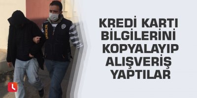 Kredi kartı bilgilerini kopyalayıp alışveriş yaptılar