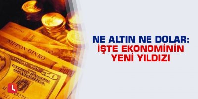 Ne altın ne dolar: İşte ekonominin yeni yıldızı