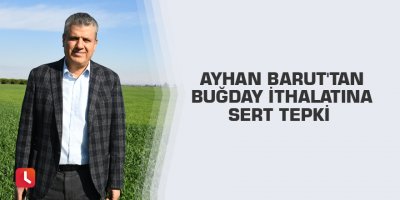 Ayhan Barut'tan buğday ithalatına sert tepki