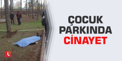 Çocuk parkında cinayet