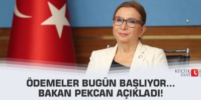 Ödemeler bugün başlıyor... Bakan Pekcan açıkladı!