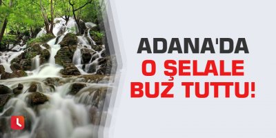 Adana'da o şelale buz tuttu!