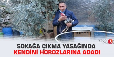 Sokağa çıkma yasağında kendini horozlarına adadı
