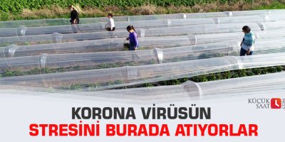 Korona virüsün stresini burada atıyorlar
