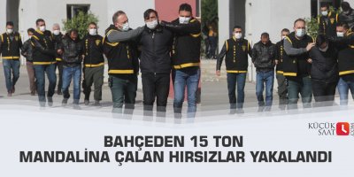 Bahçeden 15 ton mandalina çalan hırsızlar yakalandı