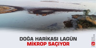 Doğa harikası lagün mikrop saçıyor