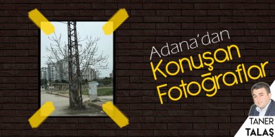 Günün fotoğrafı Gürselpaşa'dan