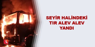 Seyir halindeki tır alev alev yandı