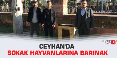 Ceyhan'da sokak hayvanlarına barınak