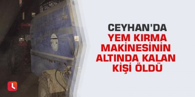 Ceyhan’da yem kırma makinesinin altında kalan kişi öldü
