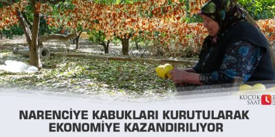 Narenciye kabukları kurutularak ekonomiye kazandırılıyor