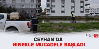 Ceyhan’da sinekle mücadele başladı