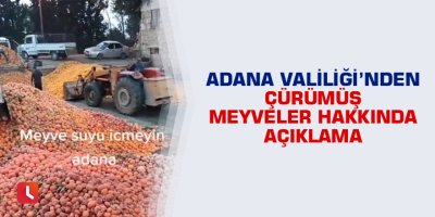 Adana Valiliği'nden çürümüş meyveler hakkında açıklama
