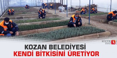 Kozan Belediyesi kendi bitkisini üretiyor