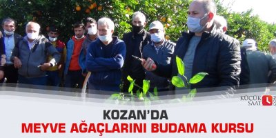 Kozan’da meyve ağaçlarını budama kursu
