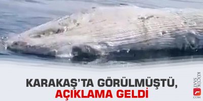 Karakaş’ta görülmüştü, açıklama geldi