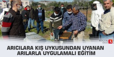 Arıcılara kış uykusundan uyanan arılarla uygulamalı eğitim