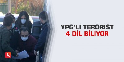 YPG’li terörist 4 dil biliyor