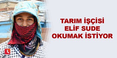 Tarım işçisi Elif Sude okumak istiyor