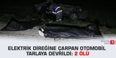 Elektrik direğine çarpan otomobil tarlaya devrildi: 2 ölü