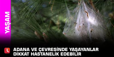 Adana ve çevresinde yaşayanlar dikkat Hastanelik edebilir