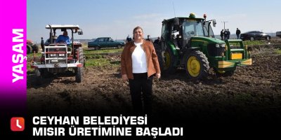 Ceyhan Belediyesi mısır üretimine başladı