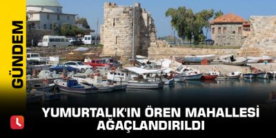 Yumurtalık'ın Ören Mahallesi ağaçlandırıldı