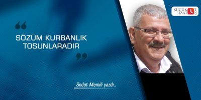 Sözüm kurbanlık tosunlaradır